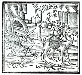 Representation of the Plague